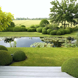 Buchcover mit grünen Buchsbaumkugeln, Titel: „Exklusives Gartendesign“, Autor: Ulrich Timm.