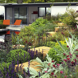 Buchcover mit Titel „Design mit Pflanzen“, darauf modern gestalteter Garten mit Formschnitt und Baum