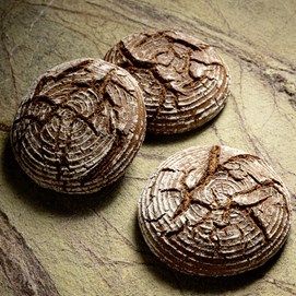 Buchcover „Baking Next Level mit Roggen“ mit dunkelrotem Hintergrund und rundem Roggenbrot in Nahaufnahme.