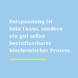 Buchcover „Die Strategie der Absichtslosigkeit“ von Frijtof Nelting mit gelbem Vogelkäfig auf blauem Grund.