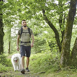 Cover eines Buches mit wandernder Person im Wald, Titel: „Endlich wieder schmerzfrei wandern“.